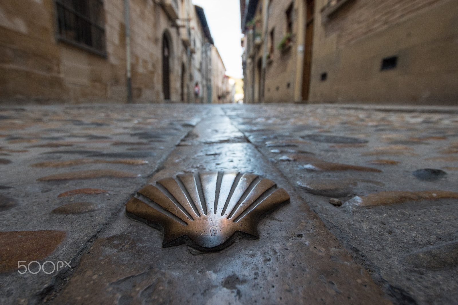 Nikon D5500 + Sigma 10-20mm F3.5 EX DC HSM sample photo. Pilgrim shell photography