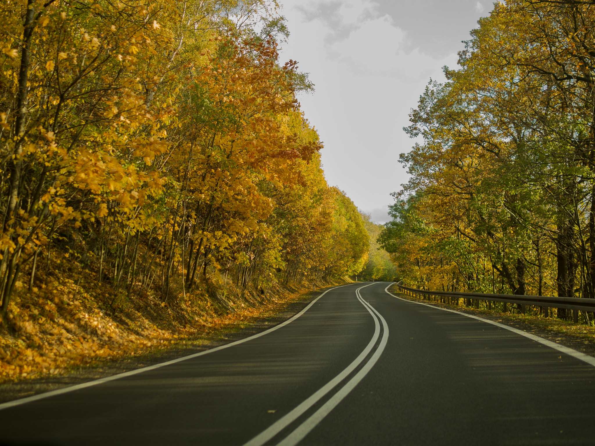 Olympus OM-D E-M10 + Panasonic Leica DG Summilux 25mm F1.4 II ASPH sample photo. Road in the attumes forest photography