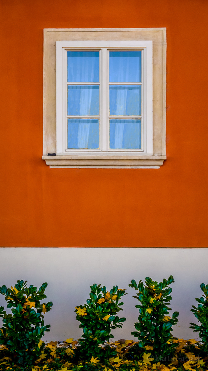 Panasonic Lumix G X Vario 12-35mm F2.8 ASPH Power OIS sample photo. Window photography