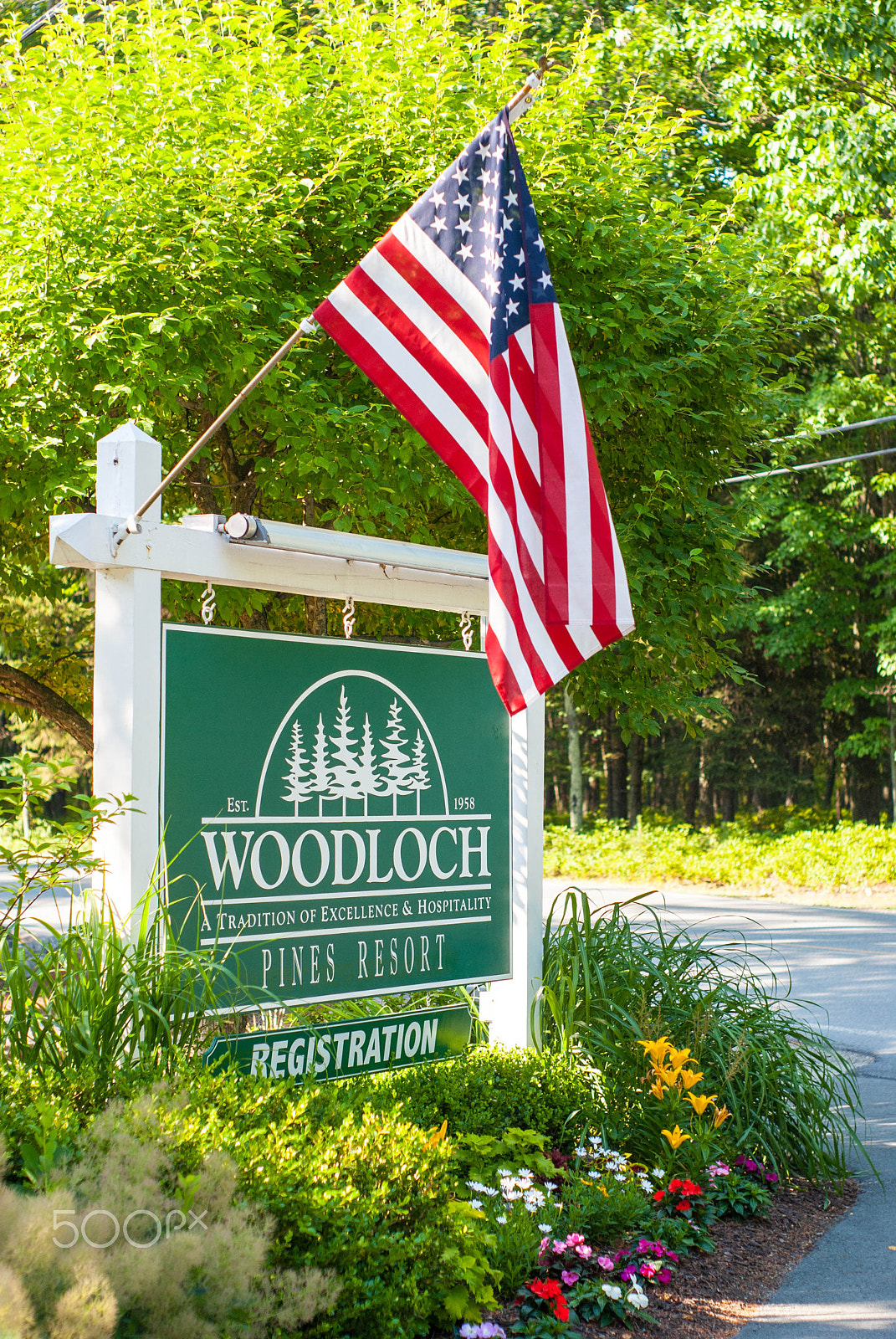 Sony Alpha DSLR-A200 + Minolta AF 50mm F1.7 sample photo. Woodloch, pa photography