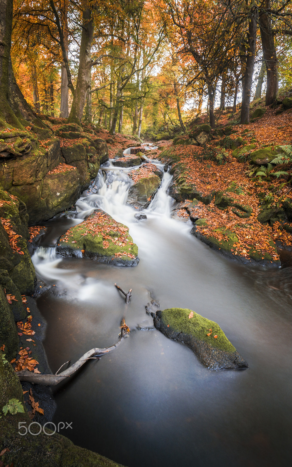 Sony a99 II sample photo. Autumn colors in ireland photography