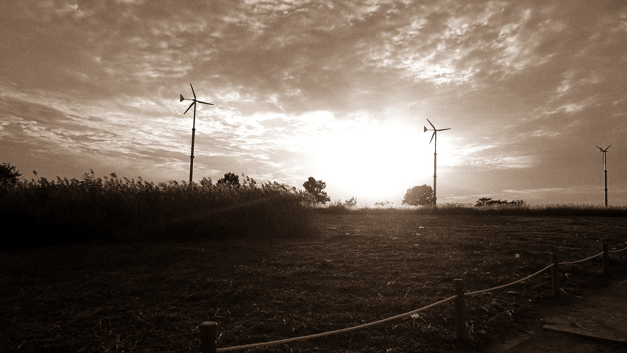 Sony Cyber-shot DSC-W330 sample photo. Eulalia filled with the wind photography