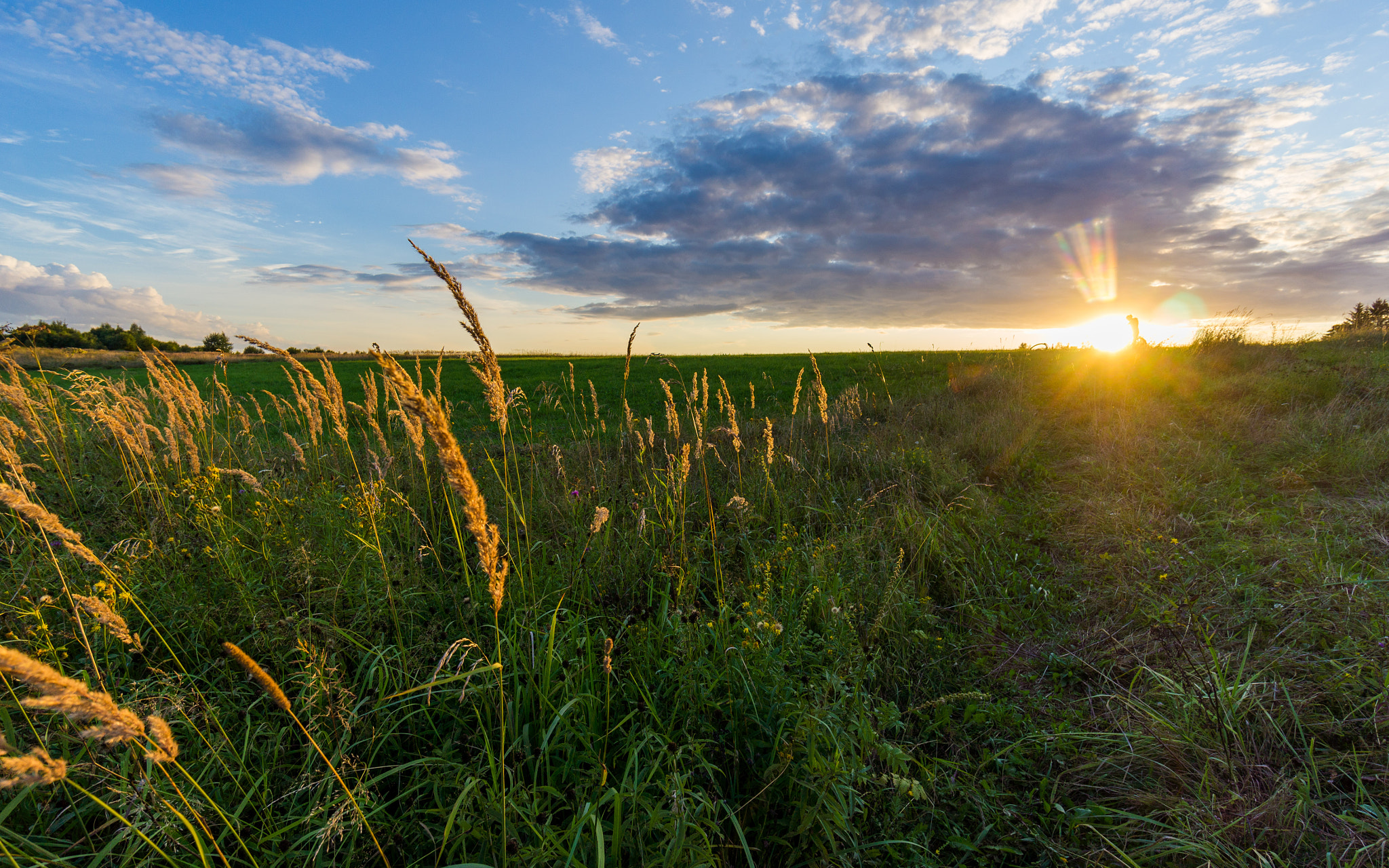 Sony Alpha NEX-5N + Sony E 10-18mm F4 OSS sample photo. * photography