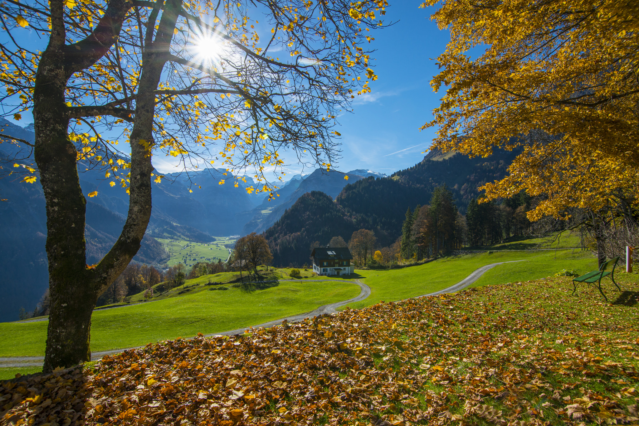 Nikon D800 sample photo. Braunwald, switzerland photography