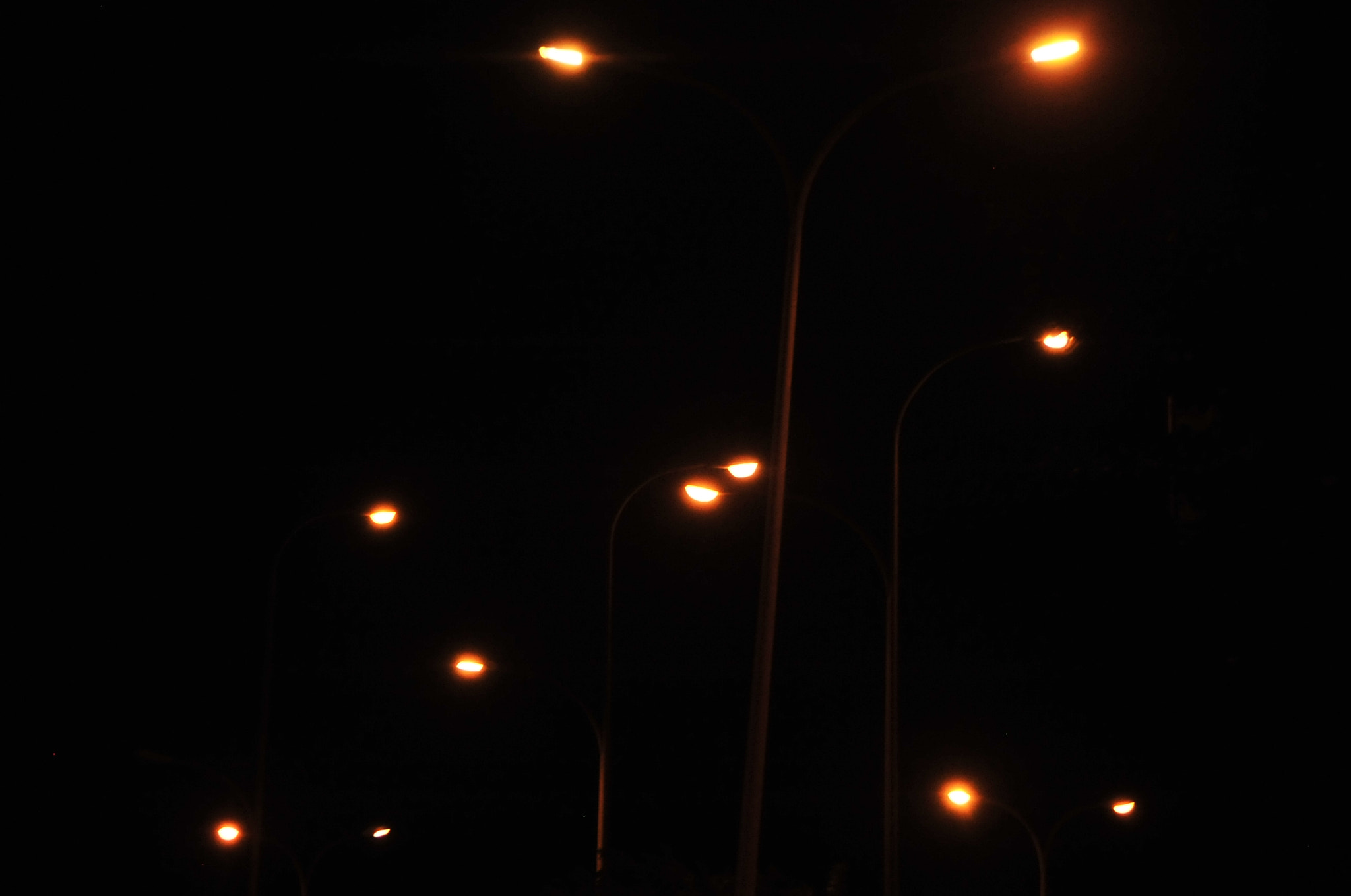 Nikon D3 sample photo. .. photography