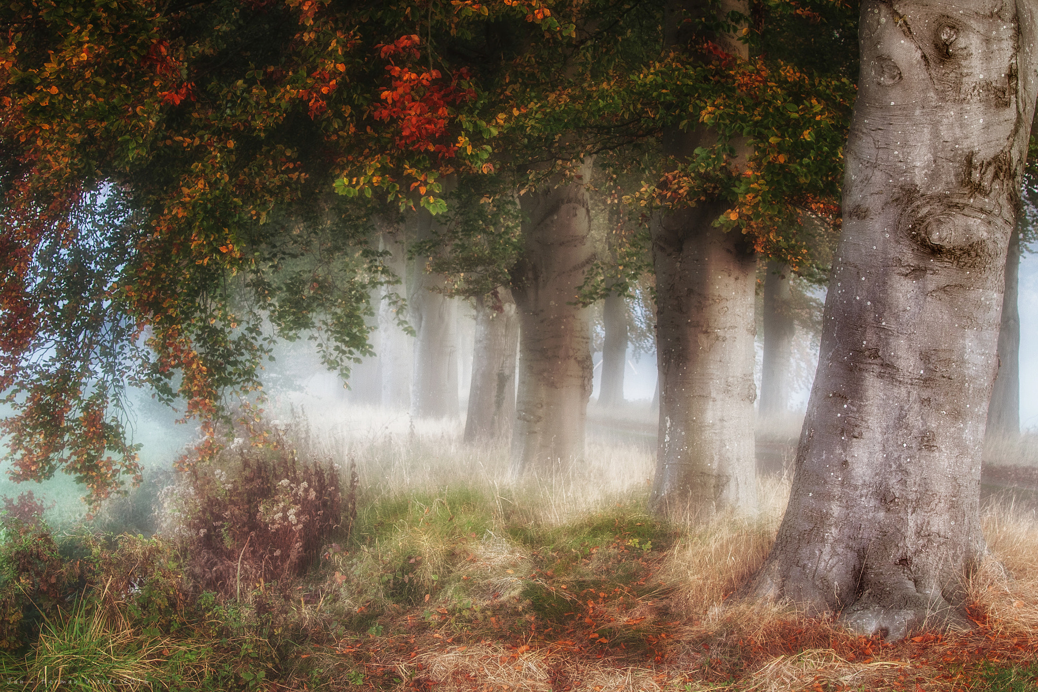 Canon EF 50-200mm f/3.5-4.5 sample photo. Autumn colours... photography