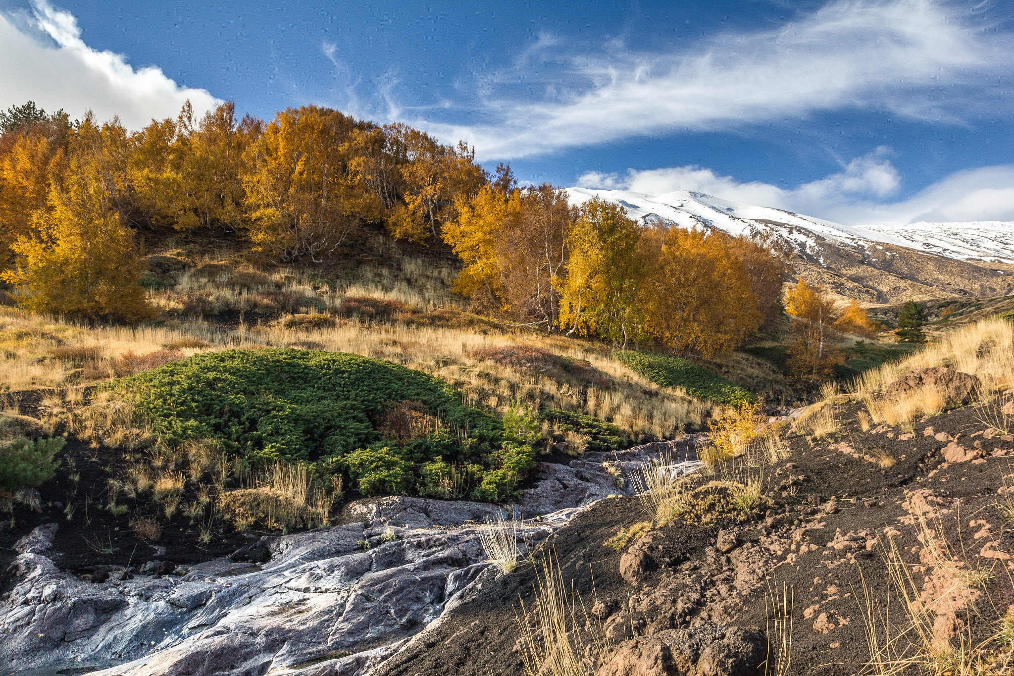 Canon EF 16-35mm F2.8L II USM sample photo. Autumn photography