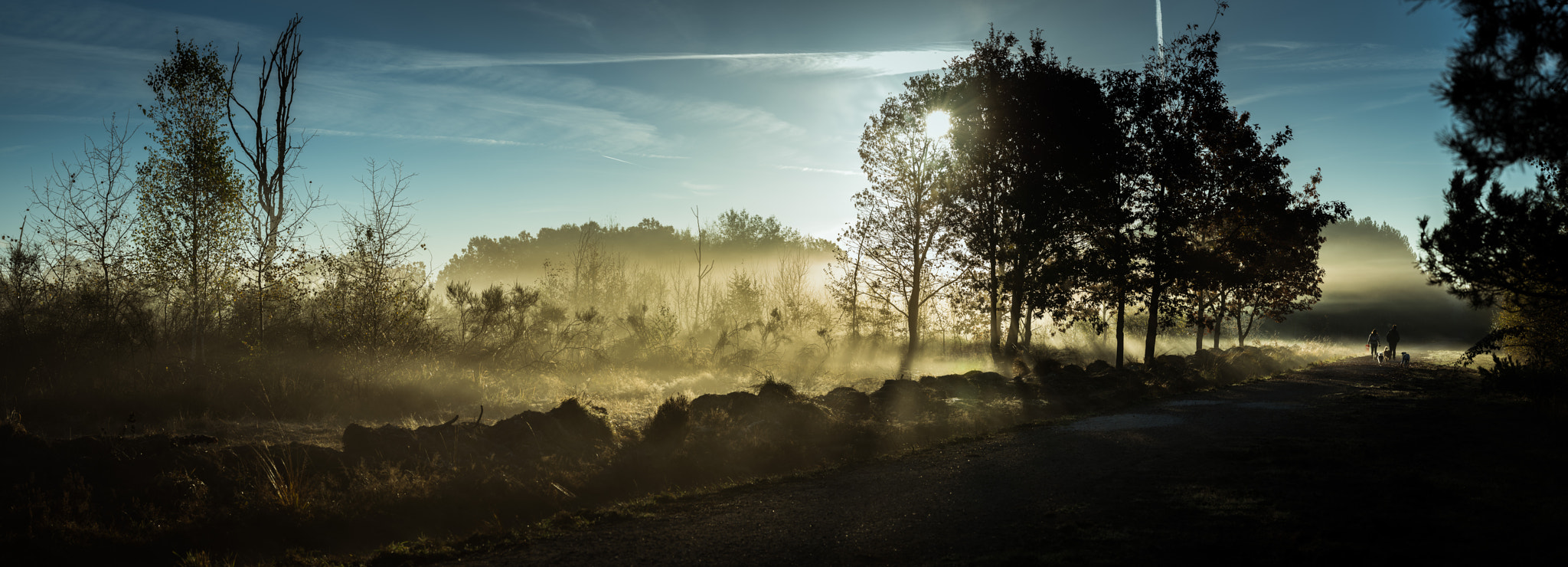 Sigma 105mm F2.8 EX DG OS HSM sample photo. Matin brumeux photography