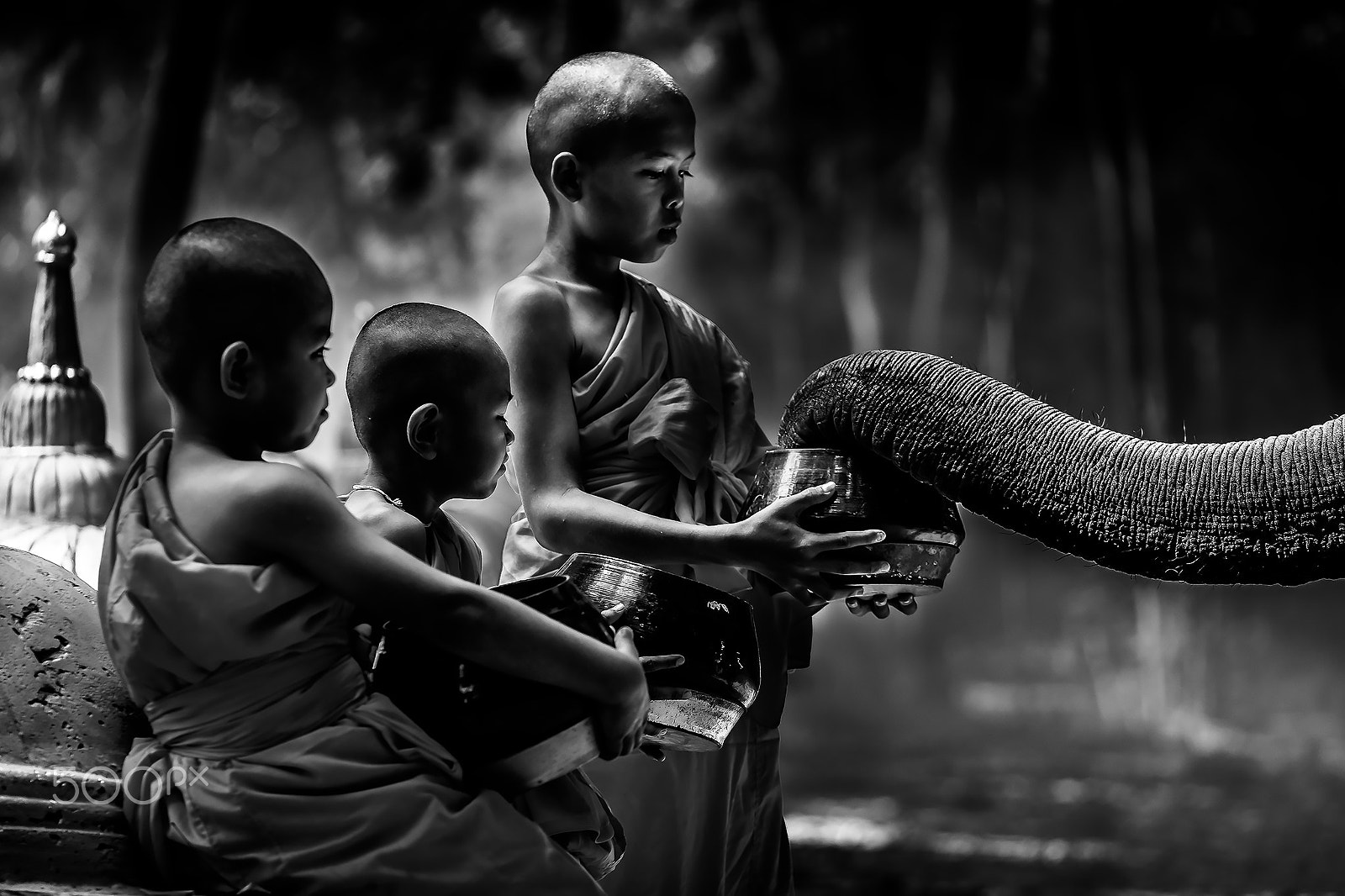 Fujifilm X-E2 + Fujifilm XF 50-140mm F2.8 R LM OIS WR sample photo. Buddhist novice monks collect food from elephant photography