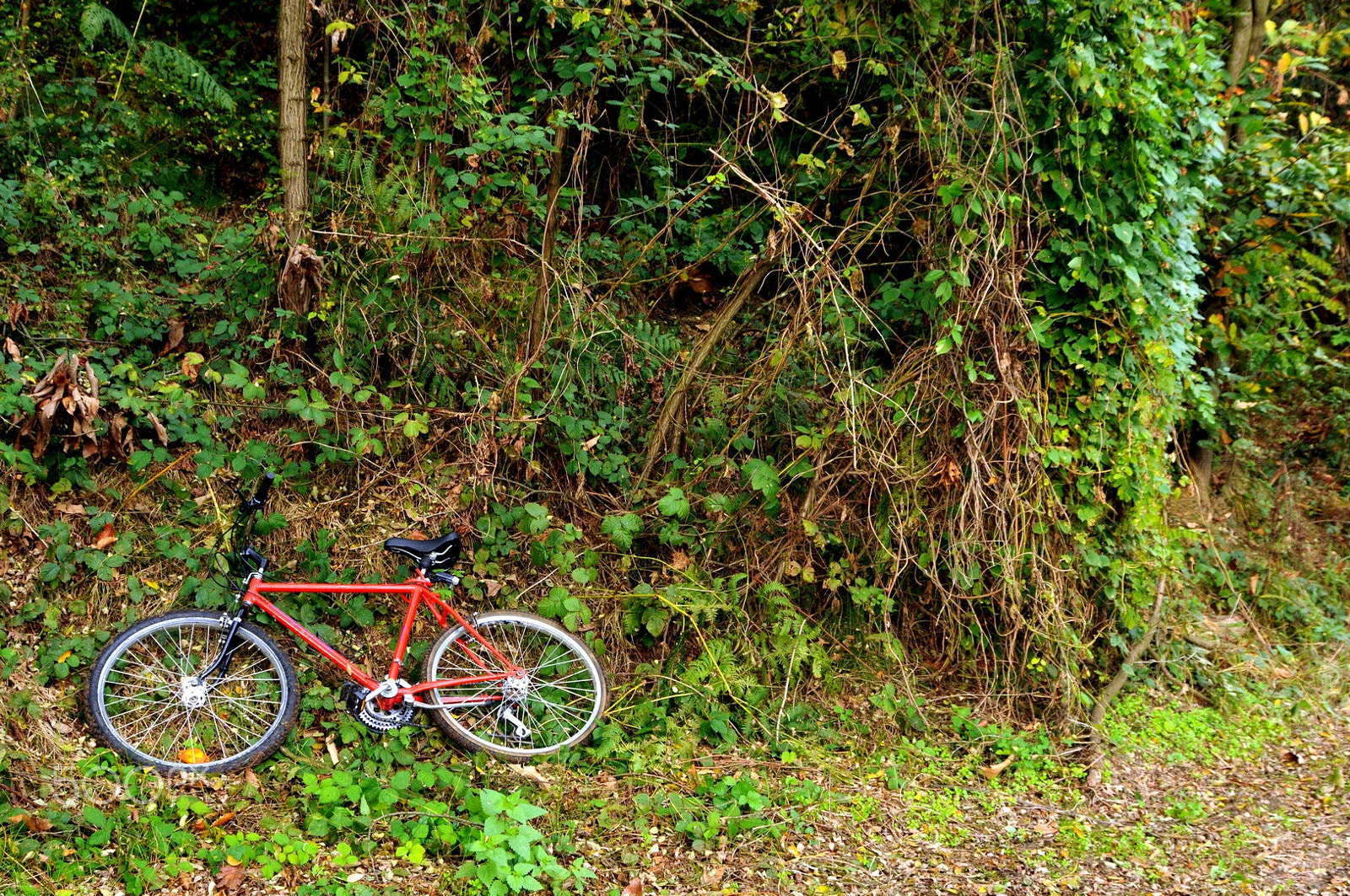 Nikon D300 sample photo. Le biciclette abbandonate... photography