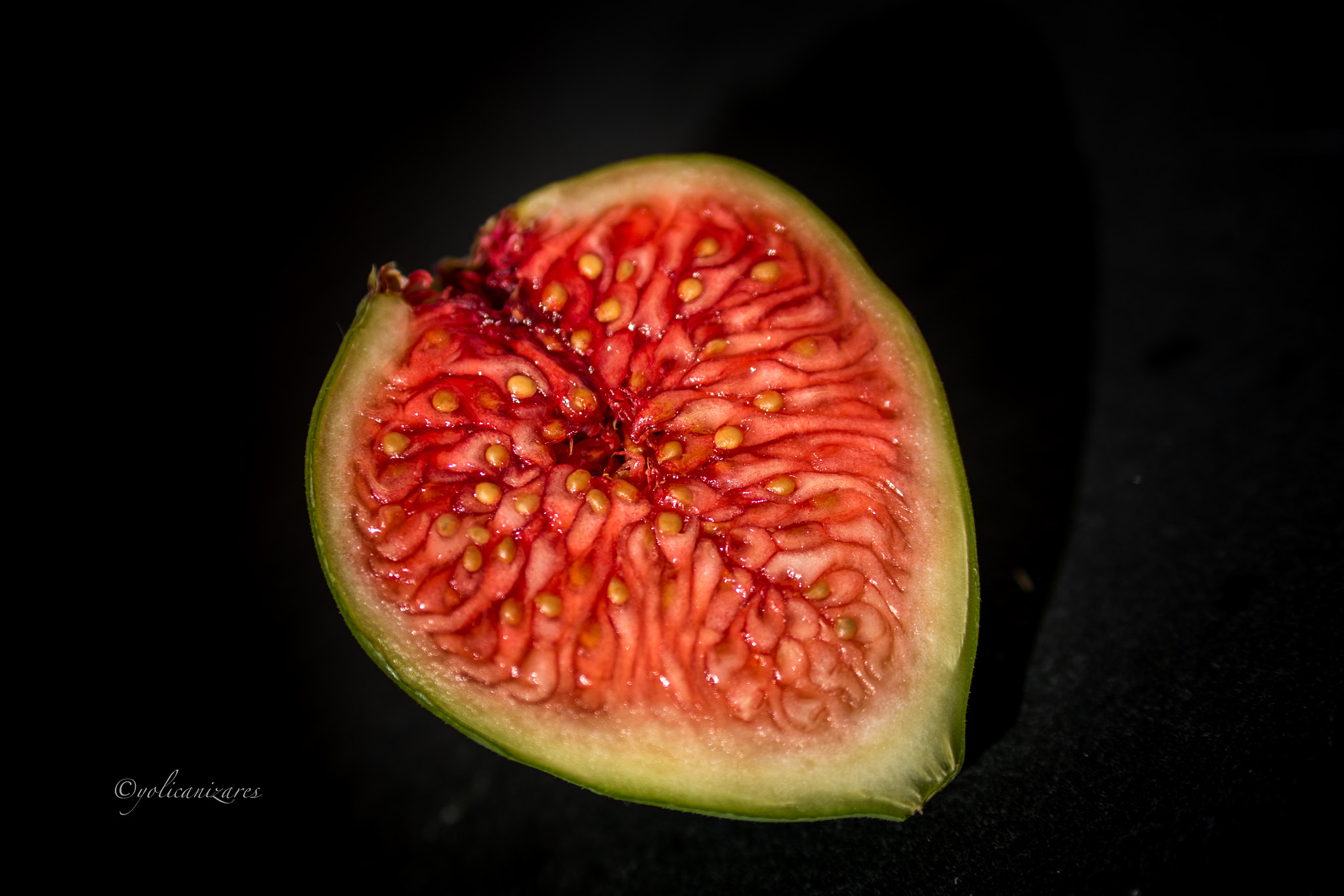 Panasonic Lumix G 42.5mm F1.7 ASPH Power OIS sample photo. Carnoso photography