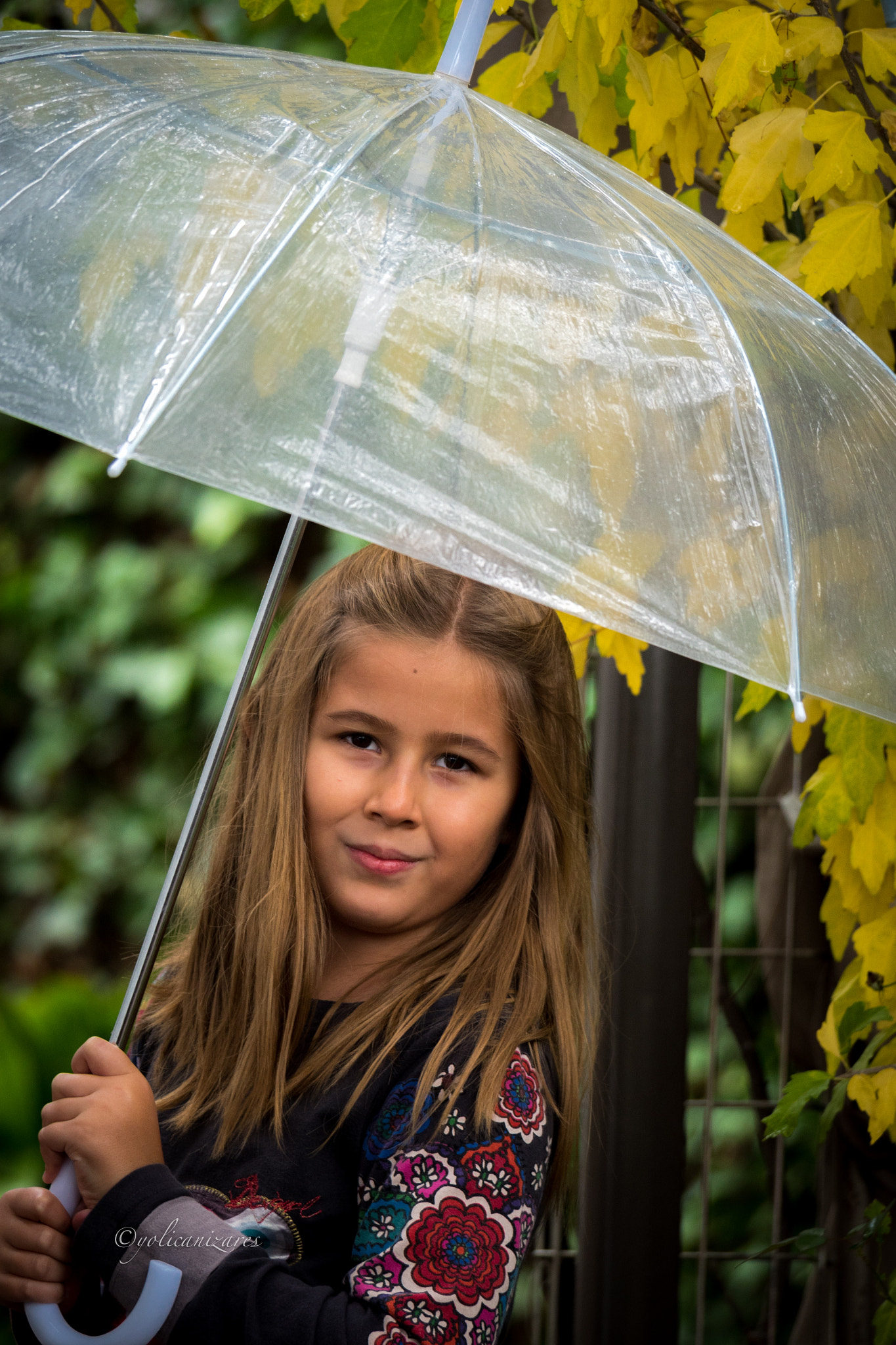 Panasonic Lumix DMC-GH4 sample photo. Otoño photography