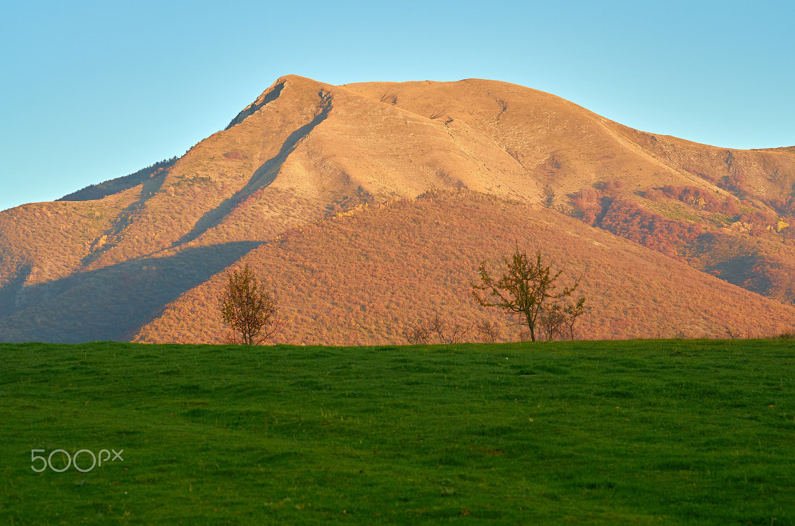 Nikon AF Micro-Nikkor 60mm F2.8D sample photo. Green meadow and mountain photography