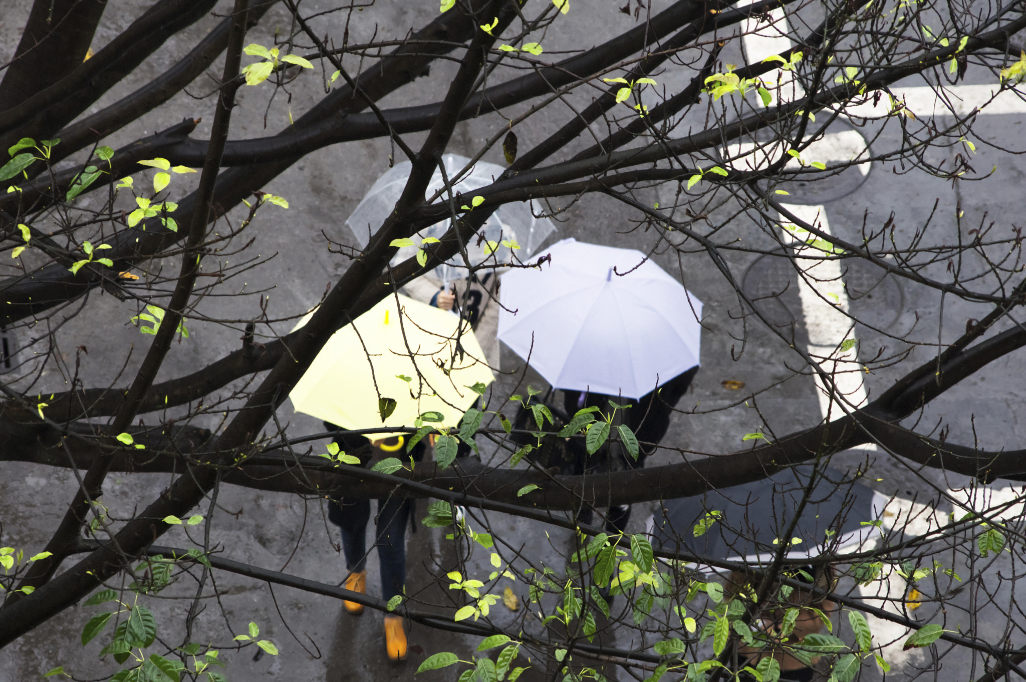 HD Pentax DA 55-300mm F4.0-5.8 ED WR sample photo. Img photography