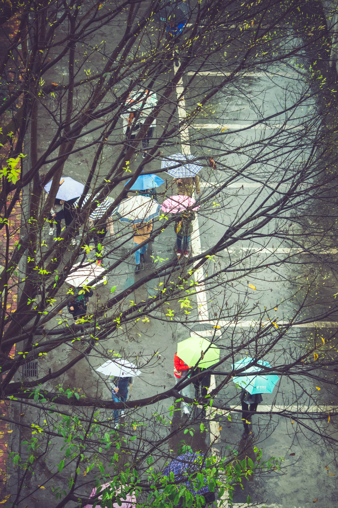 HD Pentax DA 55-300mm F4.0-5.8 ED WR sample photo. () photography