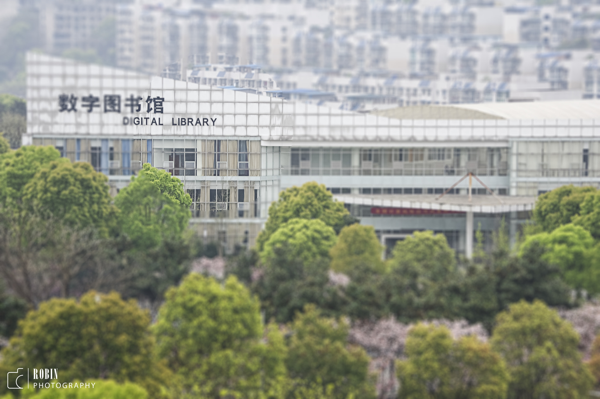 HD Pentax DA 55-300mm F4.0-5.8 ED WR sample photo. Img photography