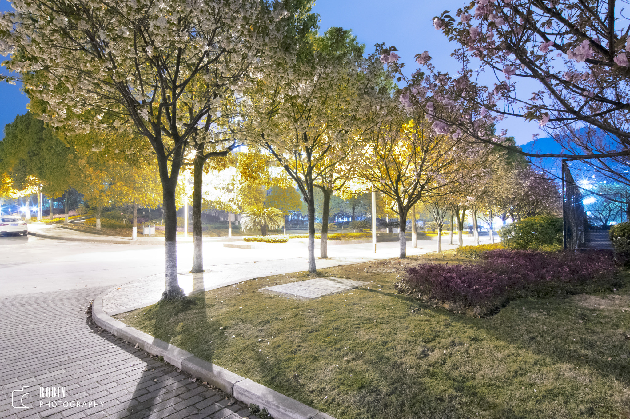 Pentax smc DA 12-24mm F4.0 ED AL (IF) sample photo. Img photography