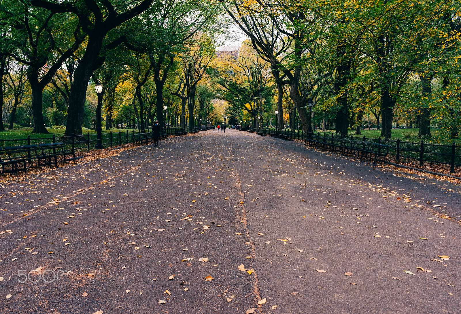 Sony a7R + Sony FE 28mm F2 sample photo. The magical heart of new york city photography