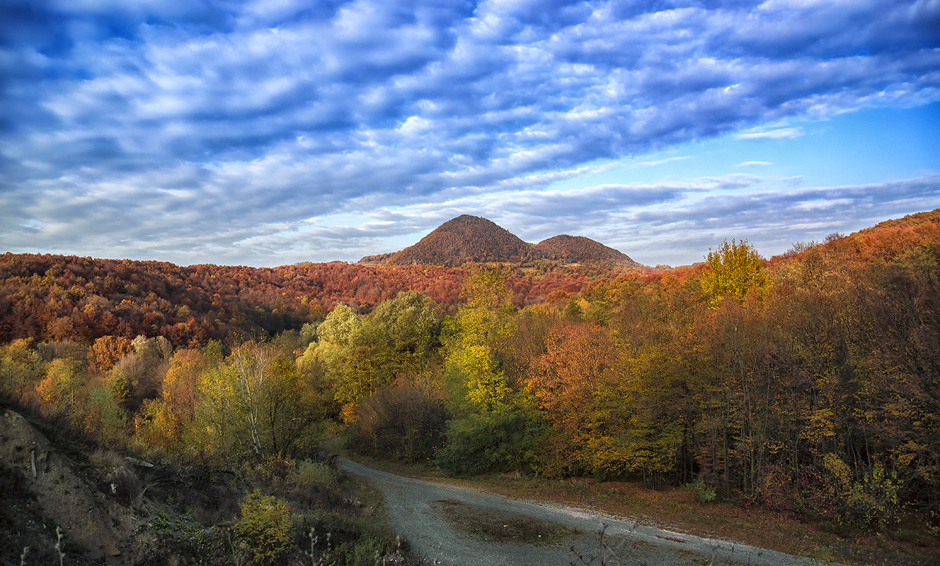 Nikon D3200 sample photo. Autumn colors 7..! photography