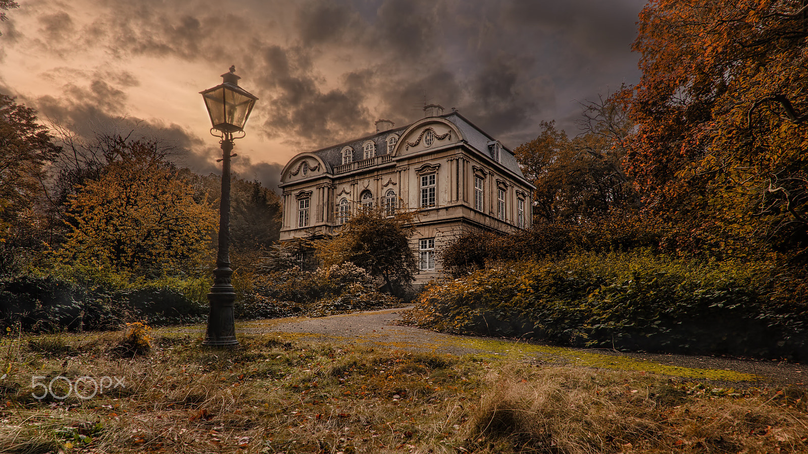 Nikon D600 + Nikon AF-S Nikkor 20mm F1.8G ED sample photo. Consumed by slow decay photography