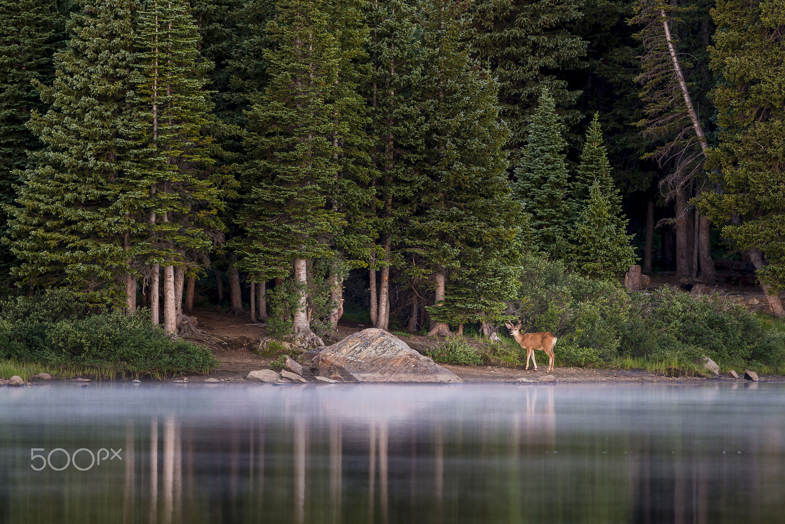 Nikon D800E sample photo. Breakfast at the lake photography