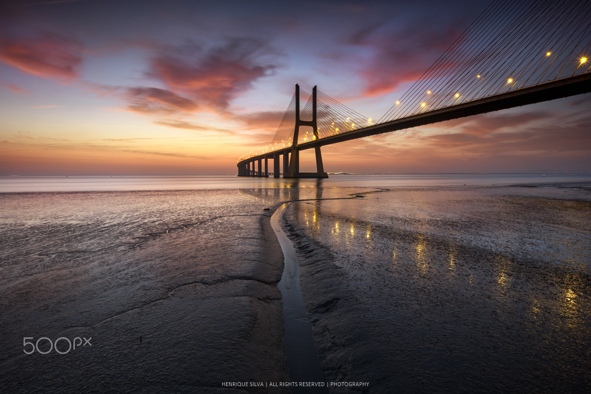 Tokina AT-X Pro 12-24mm F4 (IF) DX sample photo. New colorful day photography