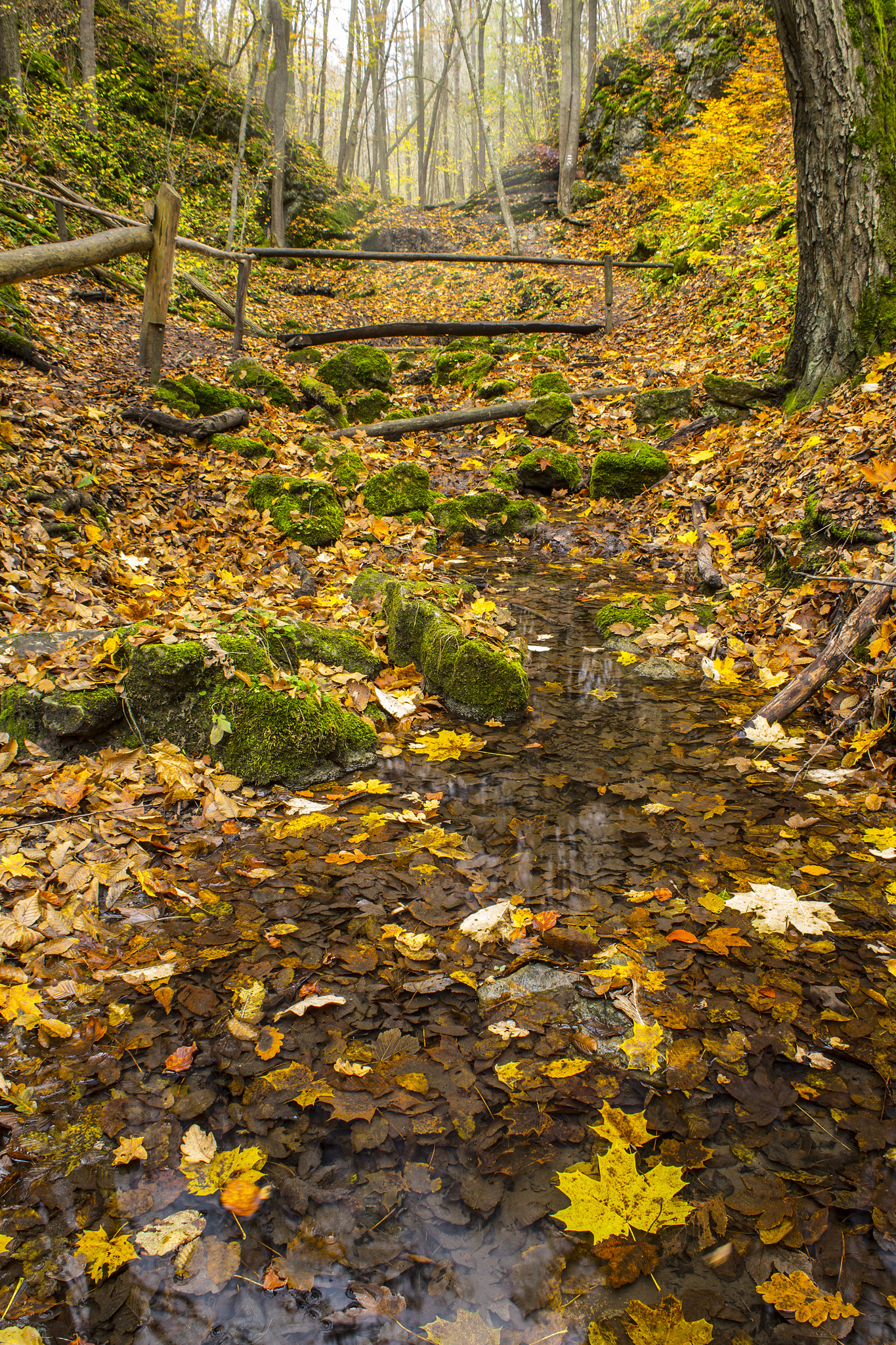 Canon EF 28-80mm f/3.5-5.6 USM IV sample photo. Bubovicke vodopady ii. photography