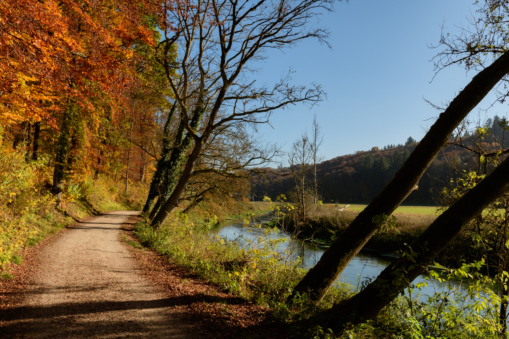 Nikon D500 + Sigma 18-35mm F1.8 DC HSM Art sample photo. Herbstspaziergang photography