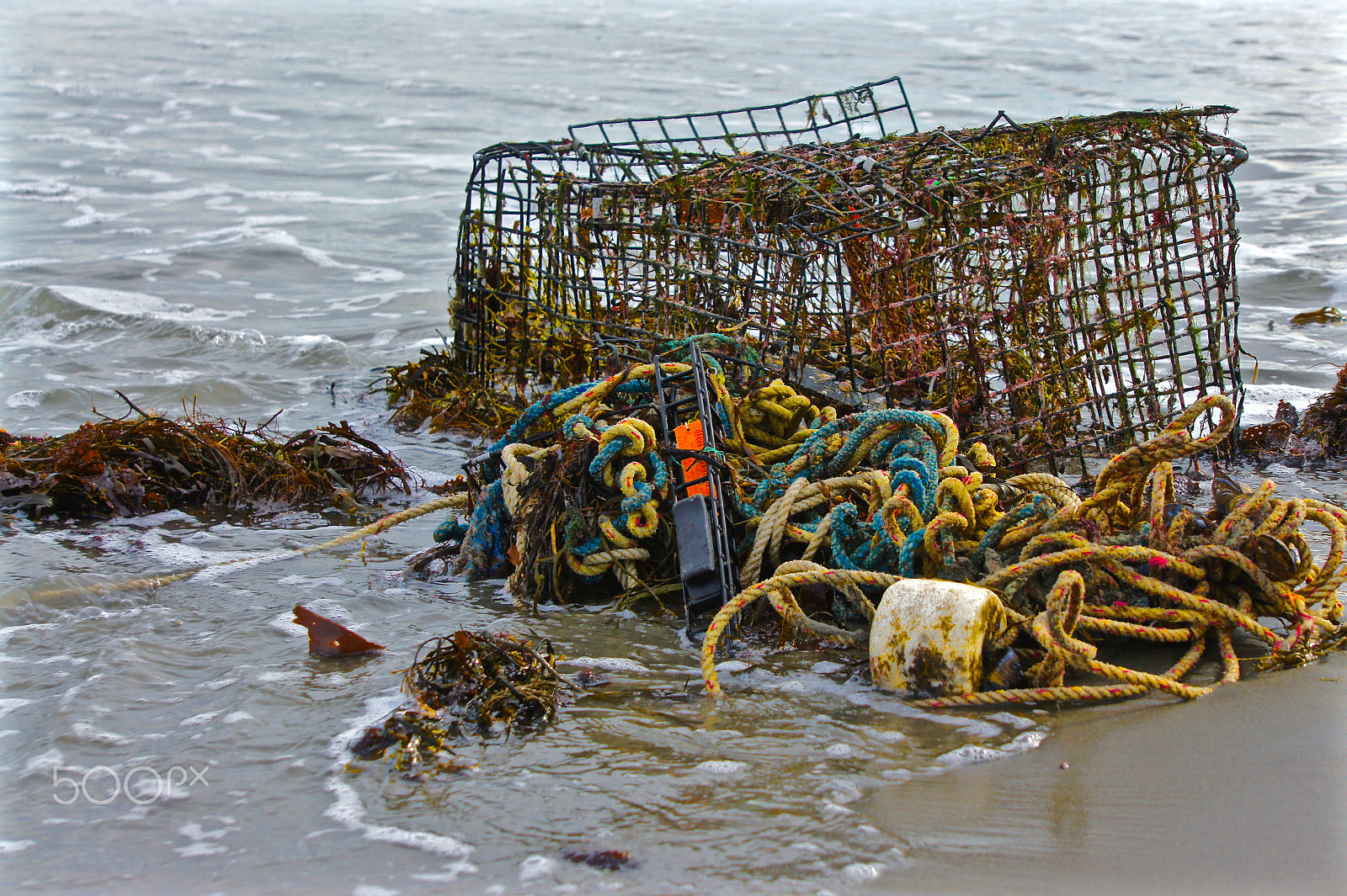 Sony Alpha NEX-3 sample photo. Cast ashore photography
