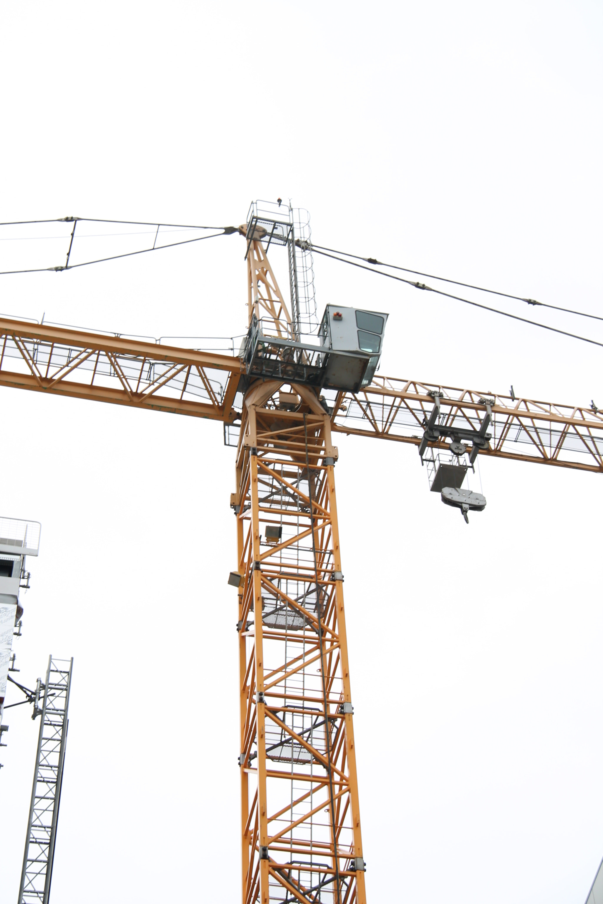 Canon EF-S 18-200mm F3.5-5.6 IS sample photo. Religious crane photography