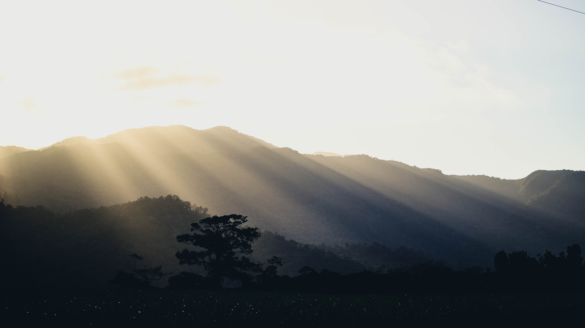 Canon EOS 100D (EOS Rebel SL1 / EOS Kiss X7) sample photo. Sunbeams  photography