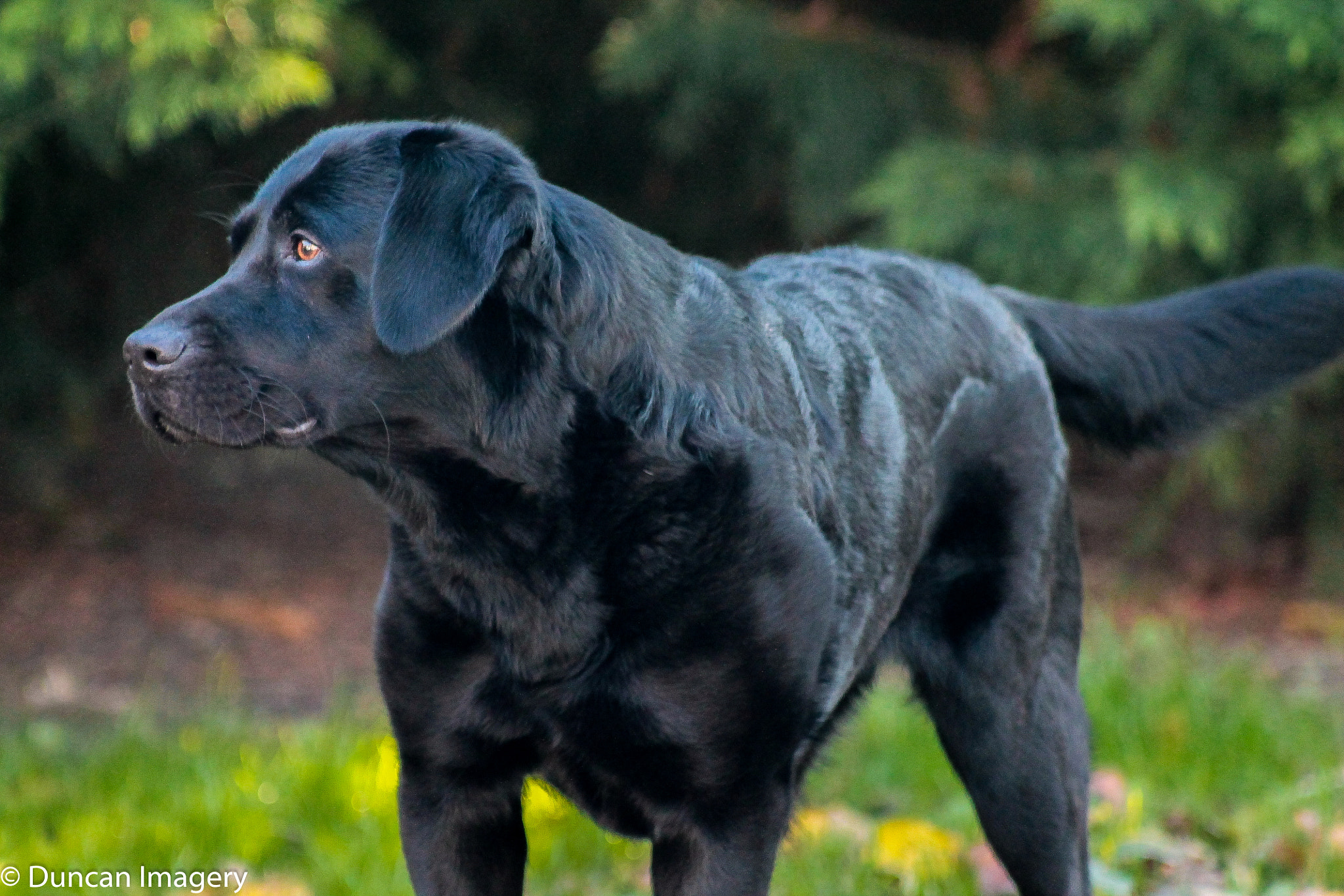 Canon EF 80-200mm F4.5-5.6 II sample photo. Sophie photography