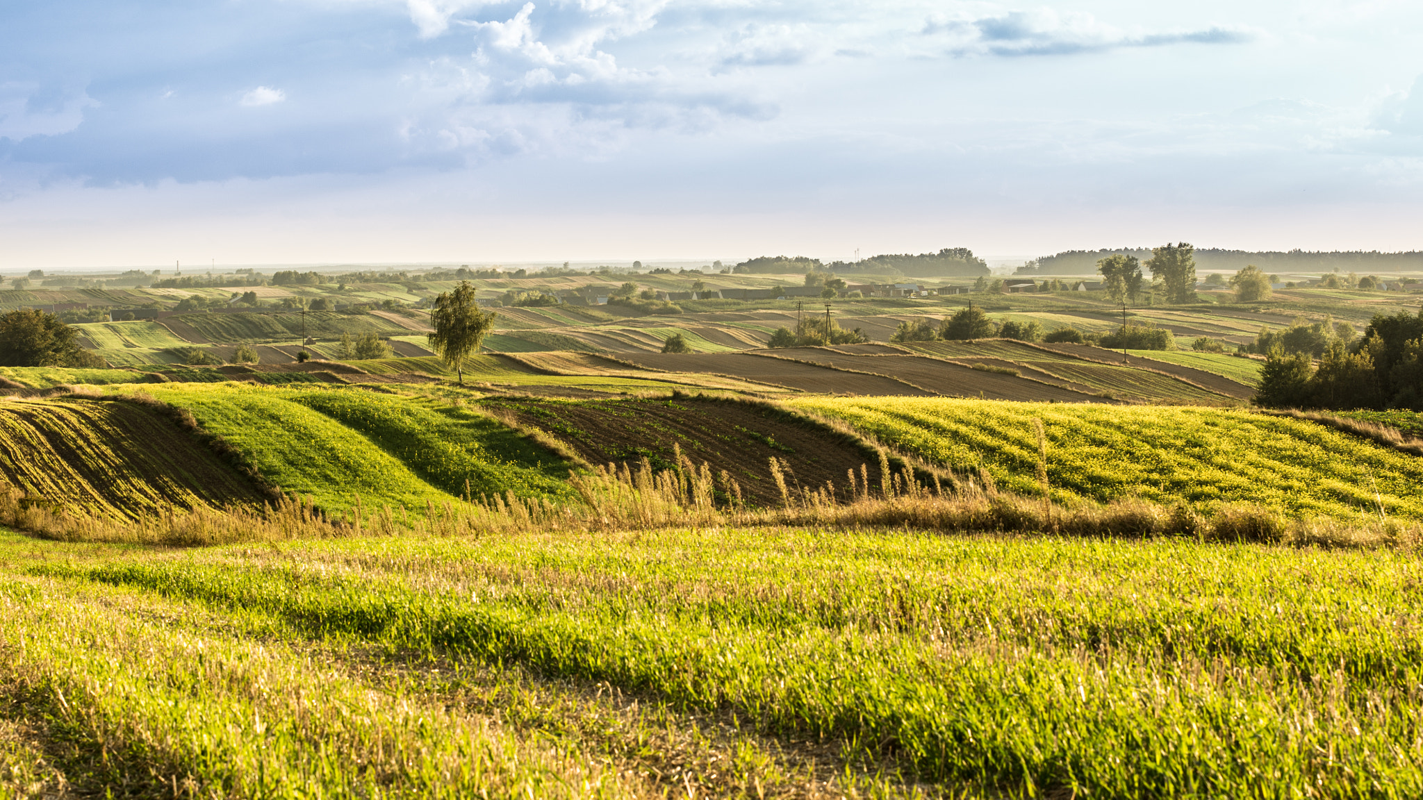 Sony Alpha DSLR-A580 sample photo. Sea of fields, godziszów, lubelskie, poland photography