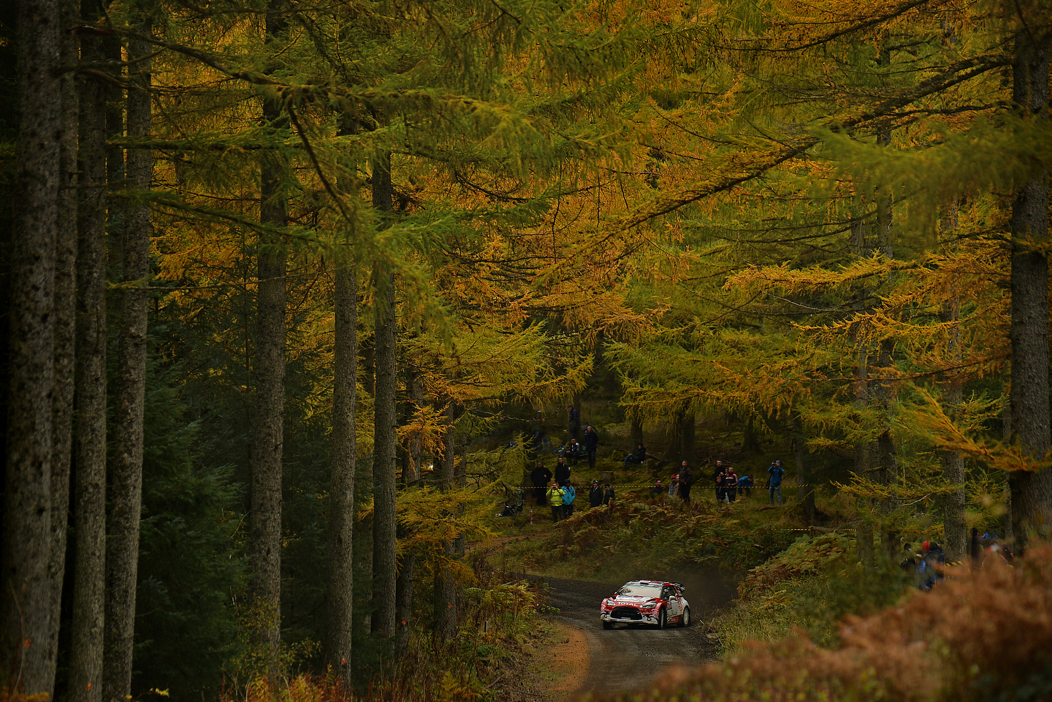 Nikon D4 sample photo. Meeke photography