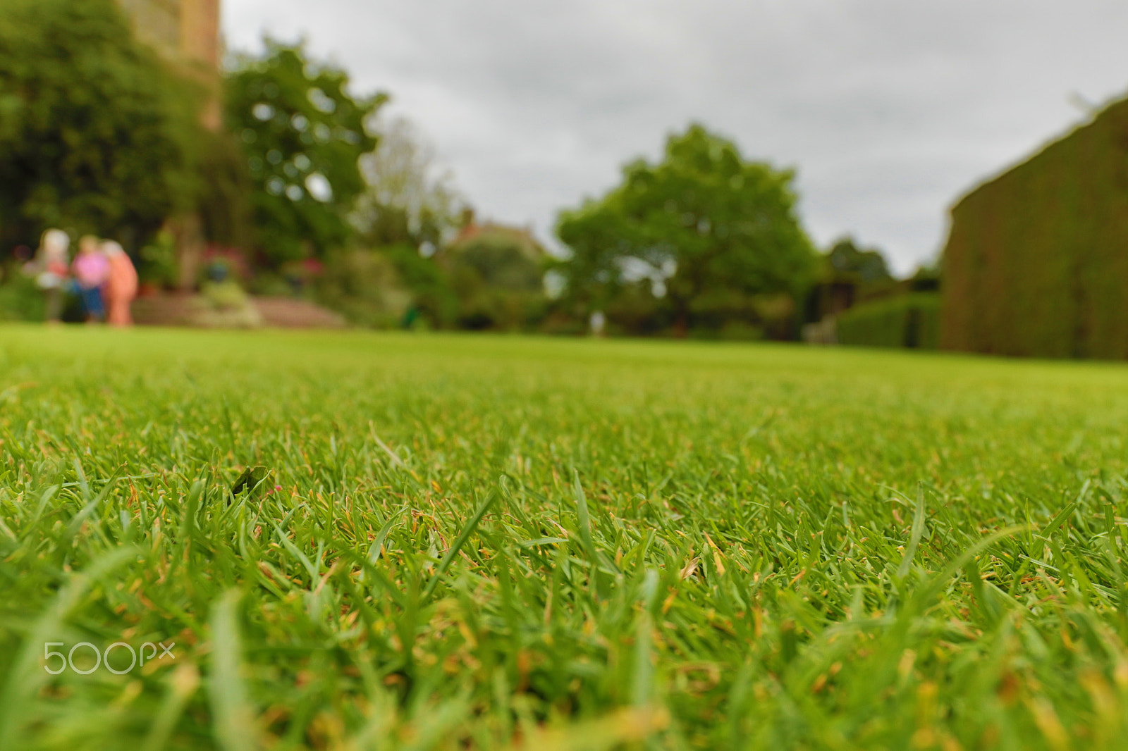 Canon EF 16-35mm F4L IS USM sample photo. Sissinghurst photography