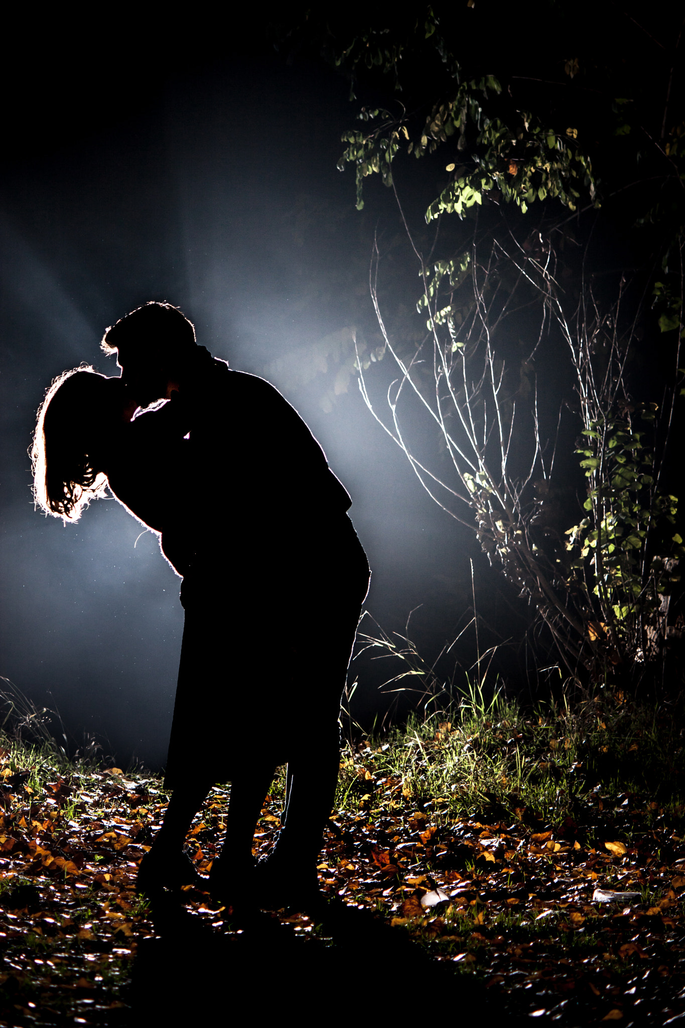 Canon EF-S 55-250mm F4-5.6 IS sample photo. Kiss of silhouettes photography