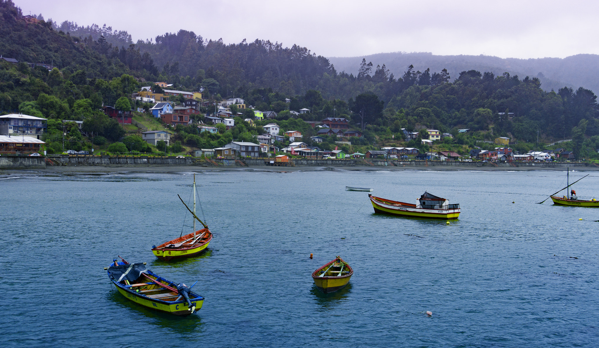 E 18-50mm F4-5.6 sample photo. Caleta el molino niebla photography