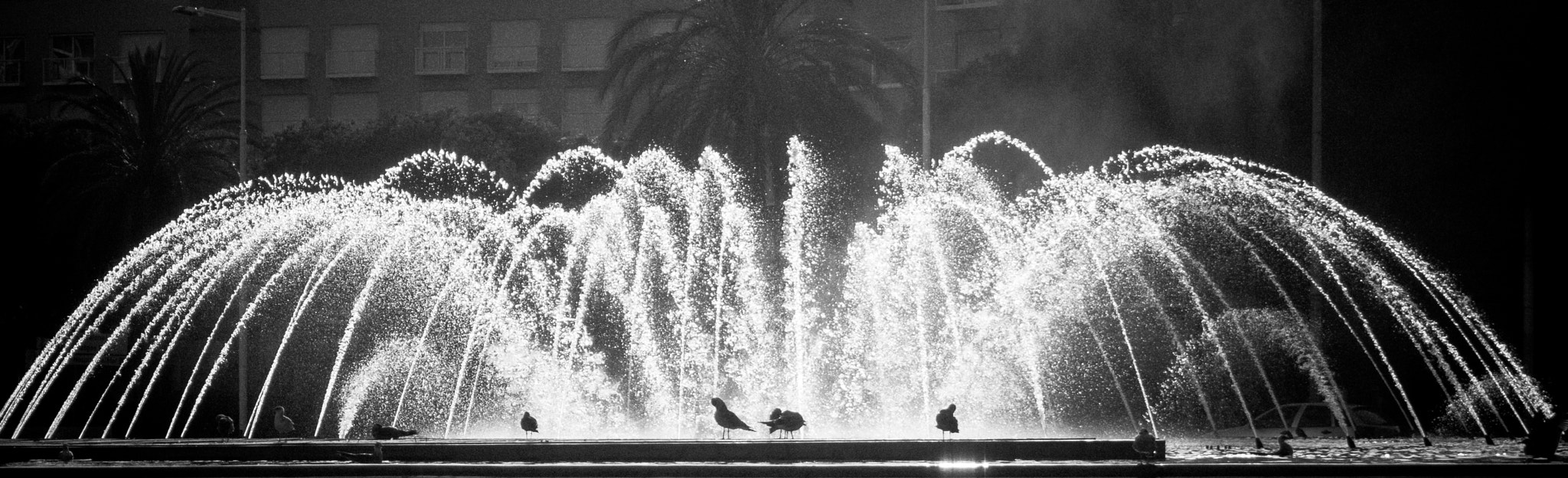Olympus PEN E-PL3 sample photo. Lights... photography