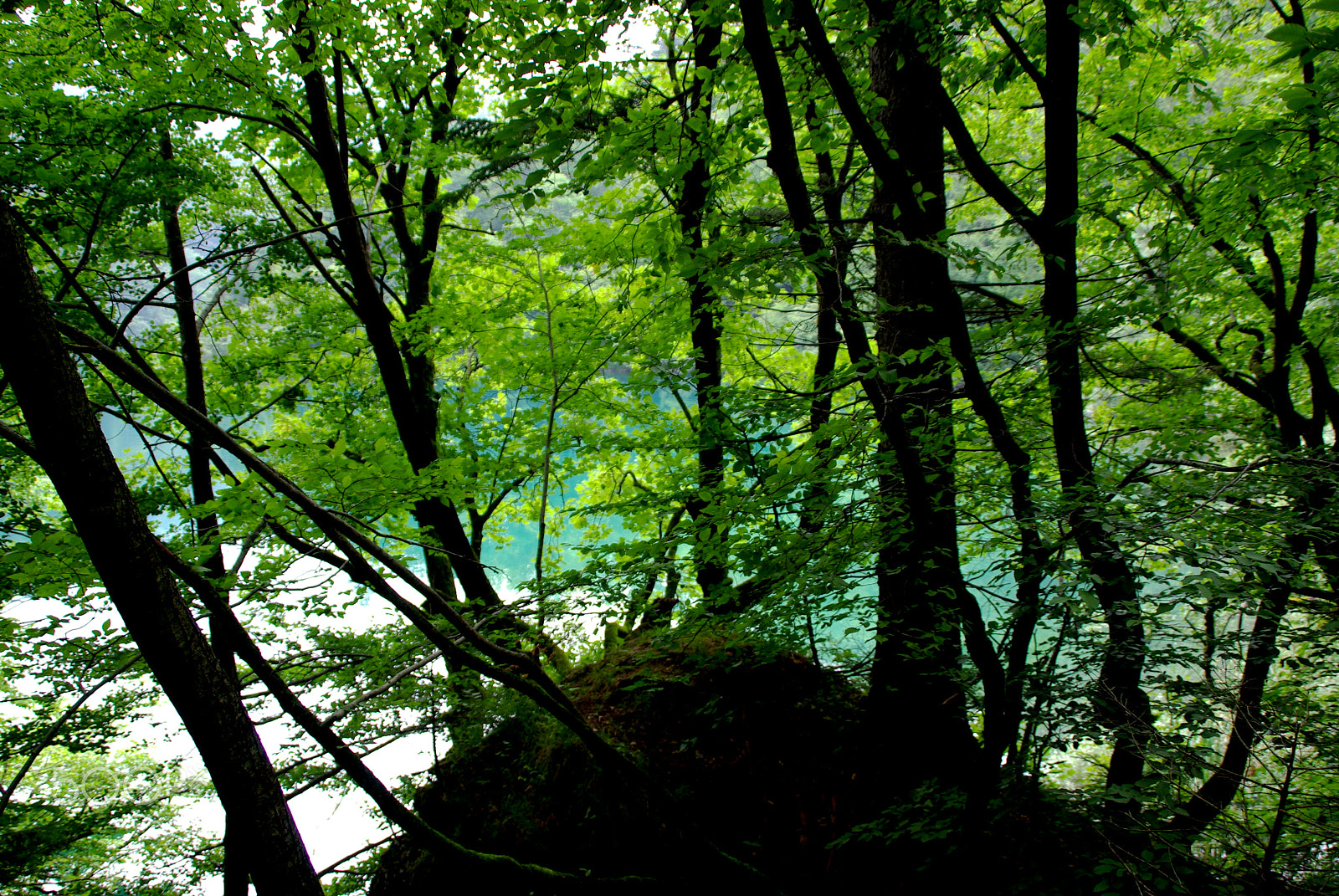 Tamron AF 18-200mm F3.5-6.3 XR Di II LD Aspherical (IF) Macro sample photo. Blue photography