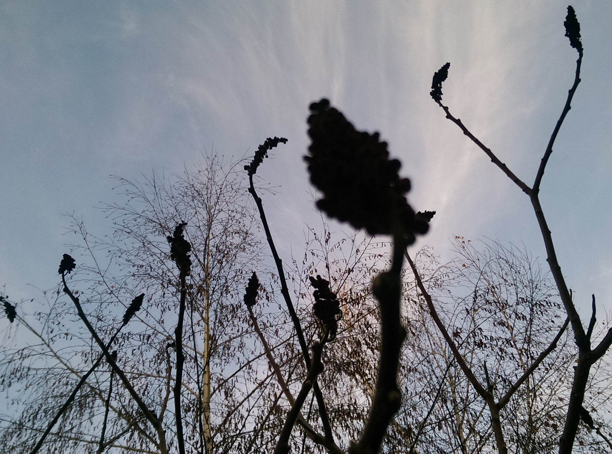HTC ONE DUAL SIM sample photo