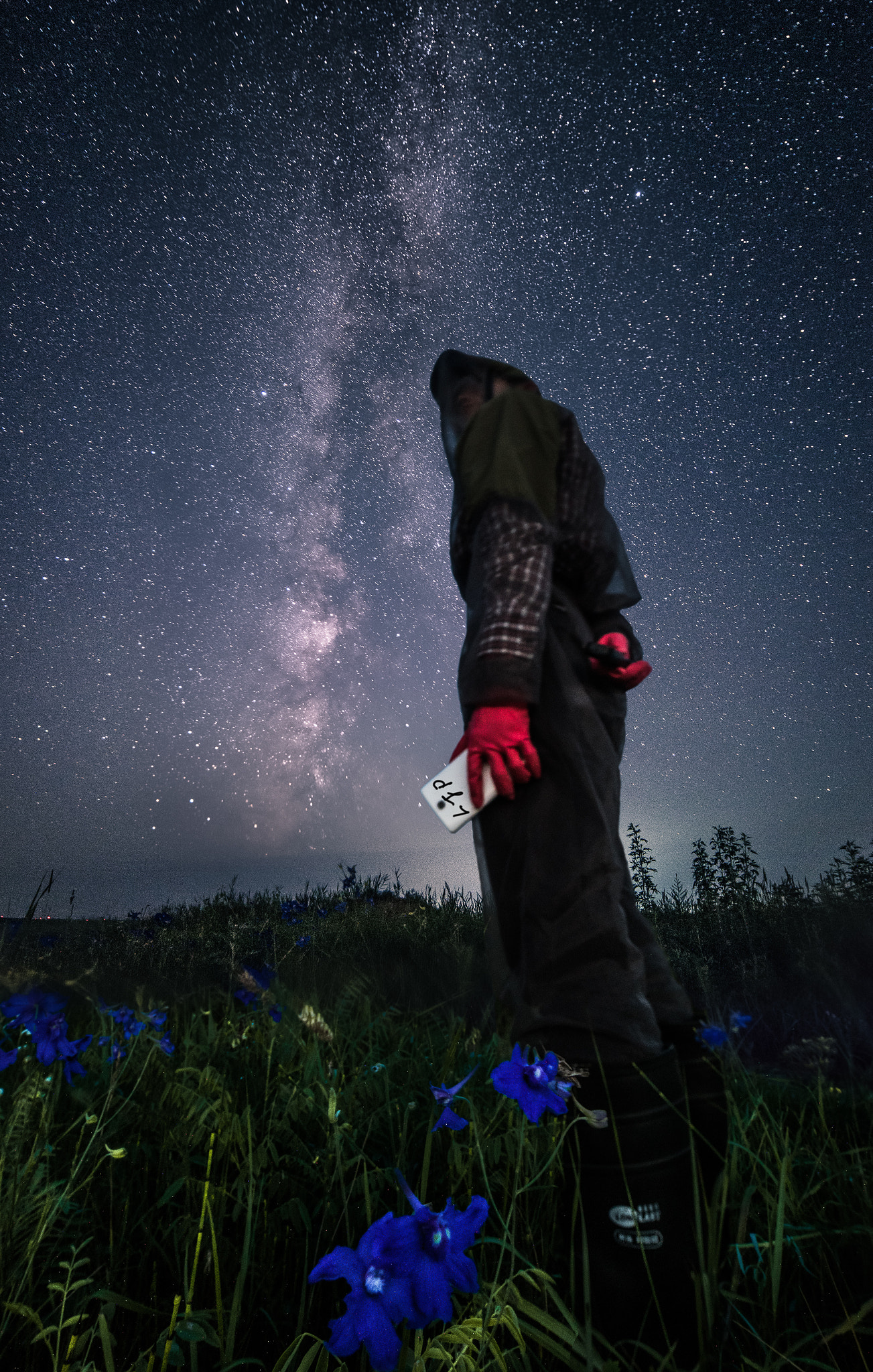 Samyang 14mm F2.8 ED AS IF UMC sample photo. Breaking dawn-to breaking bad photography
