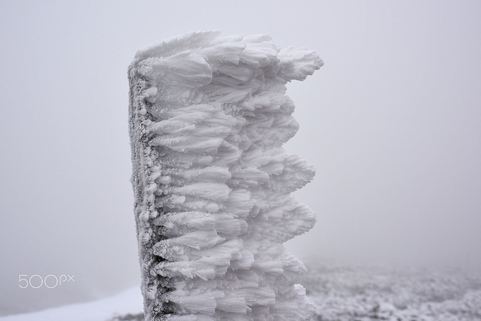 Nikon D810 + Nikon AF-S Nikkor 35mm F1.4G sample photo. Ice photography