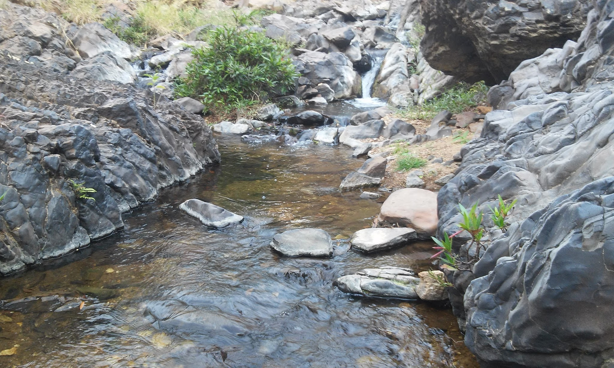 LG L70 sample photo. River córrego do ouro photography