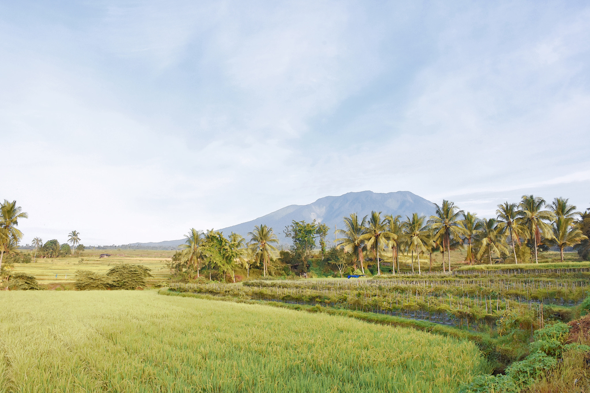Nikon AF-S Nikkor 70-200mm F4G ED VR sample photo. Paddy field view photography