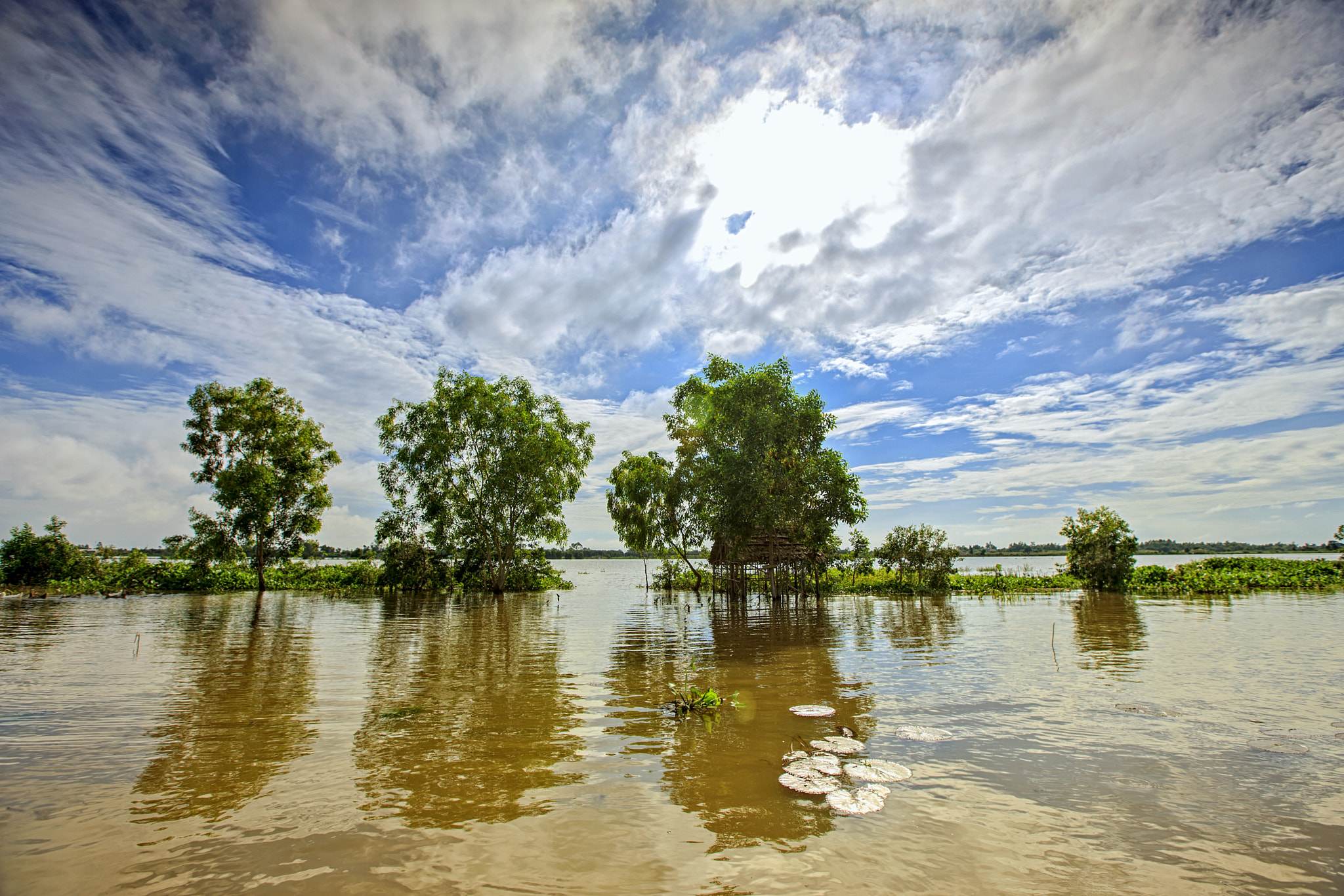 Canon EOS-1Ds Mark III sample photo. Flooding in mekong river delta photography