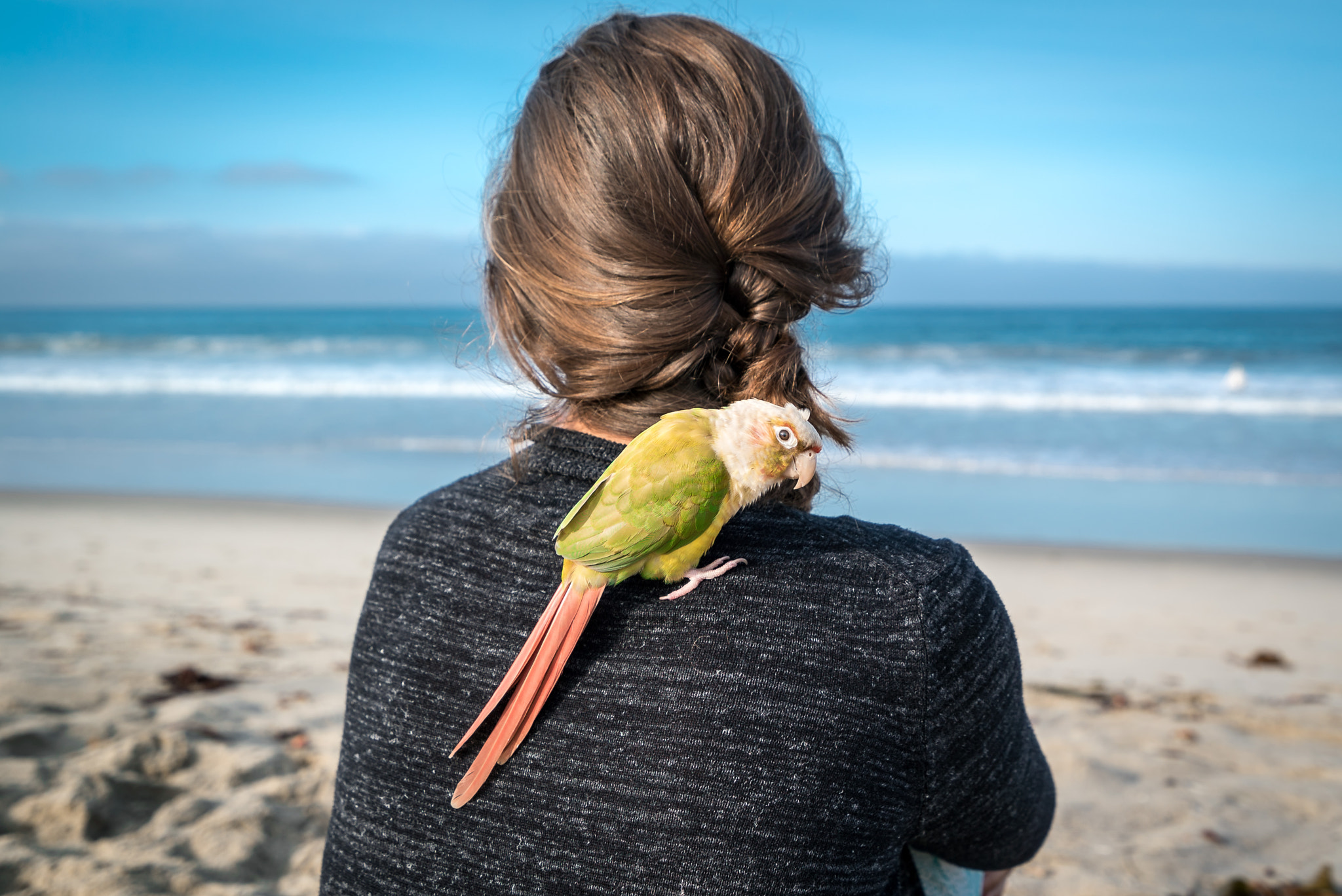 Sony a7S + Sony Vario-Tessar T* FE 16-35mm F4 ZA OSS sample photo. Beach friends photography