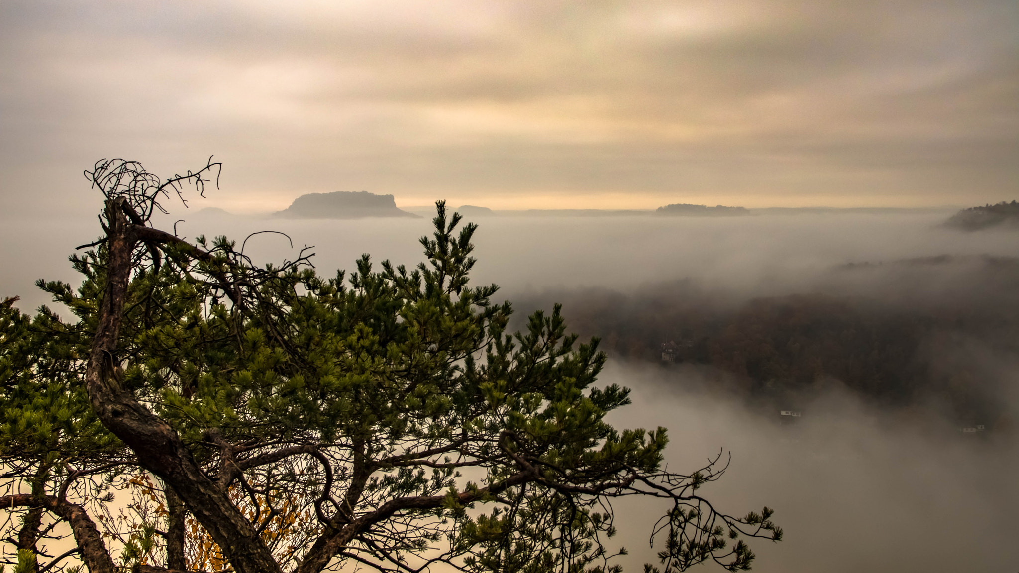 Sigma 17-70mm F2.8-4 DC Macro OS HSM sample photo. Blick in den nebel photography