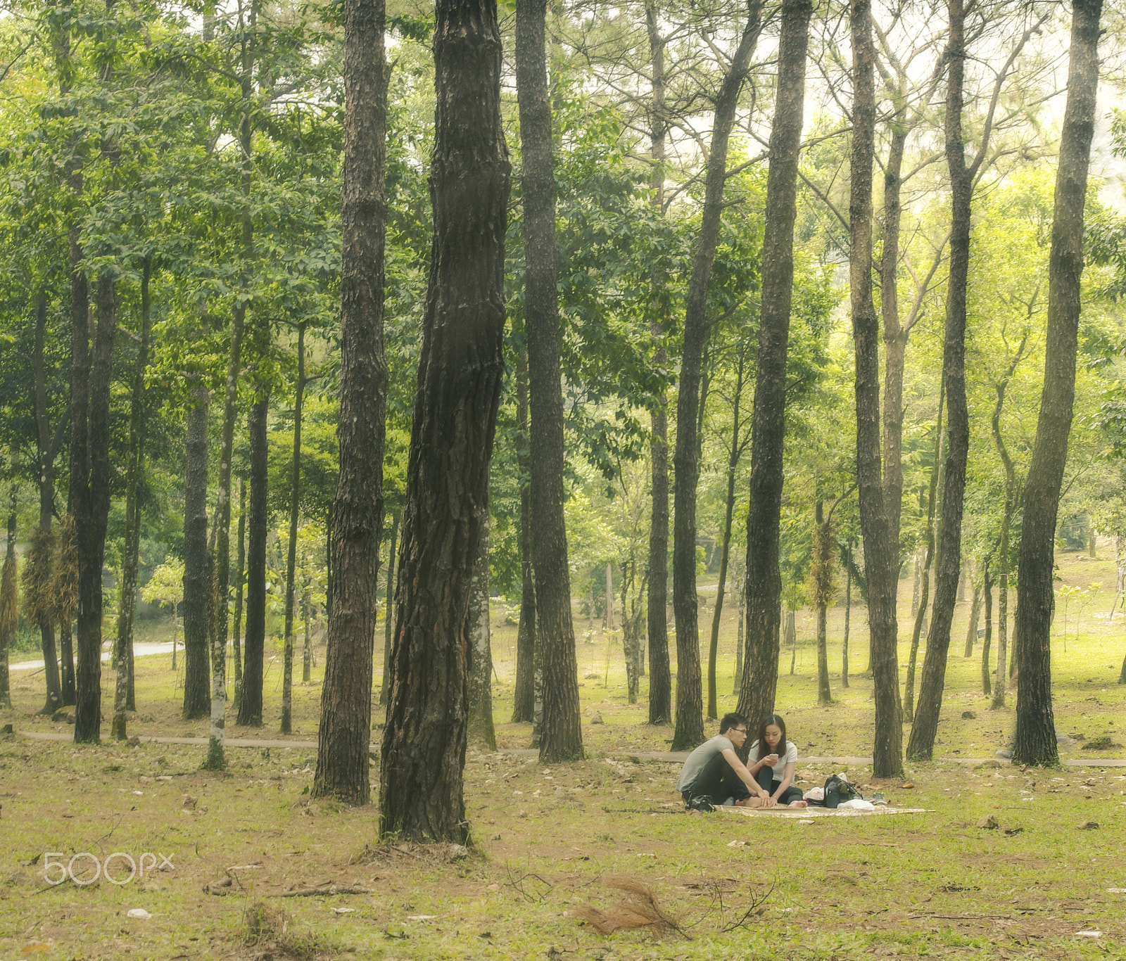 Pentax K20D sample photo. Secret garden photography