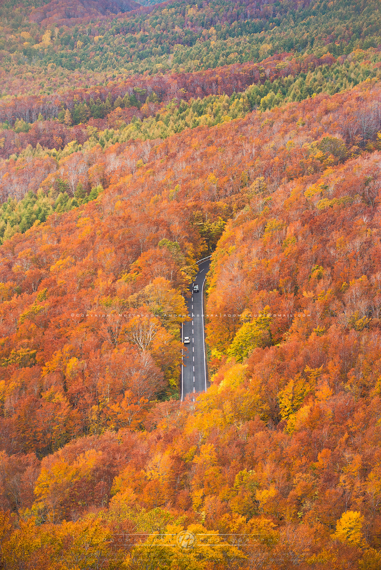 Nikon AF-S Nikkor 70-200mm F4G ED VR sample photo. Autumn road photography