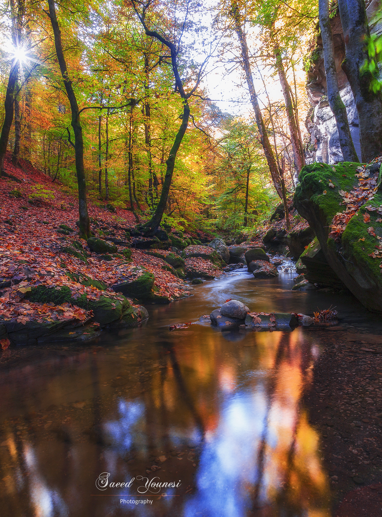 Canon EOS 5D + Canon EF 20-35mm F3.5-4.5 USM sample photo. Autumn in sangedeh photography